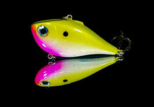 Load image into Gallery viewer, Rap KO