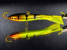 Load image into Gallery viewer, Jigging Raps