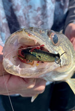 Load image into Gallery viewer, Crystal Series Blade Baits