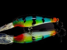 Load image into Gallery viewer, Flicker Minnow
