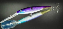 Load image into Gallery viewer, Flicker Minnow
