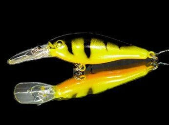 Flicker Shad